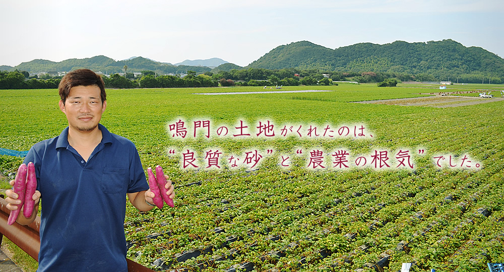 鳴門の土地がくれたのは、良質な砂と農業の根気でした