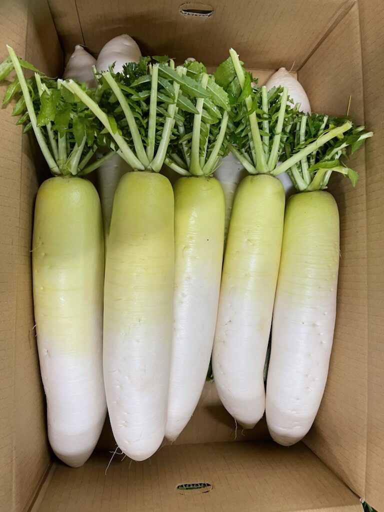 新年明けました!