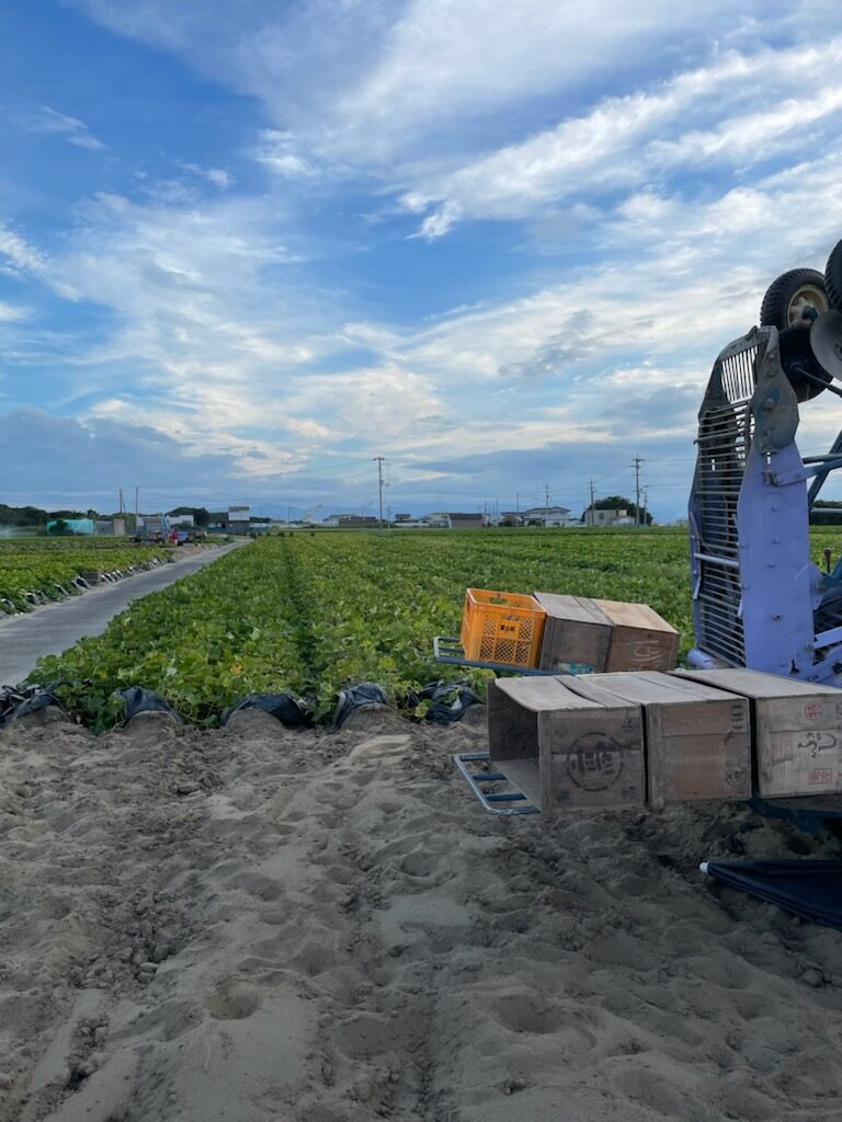 明日はお盆休み!