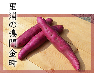 里浦の鳴門金時
